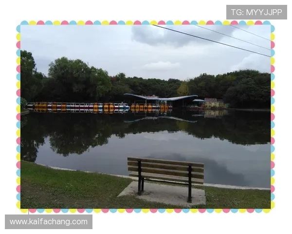 金龙娱乐场真人游戏新手入门指南，快速掌握游戏规则与操作技巧